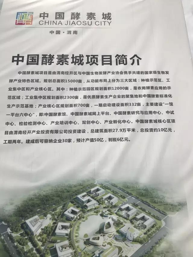 集团领导考察贯石陕西项目