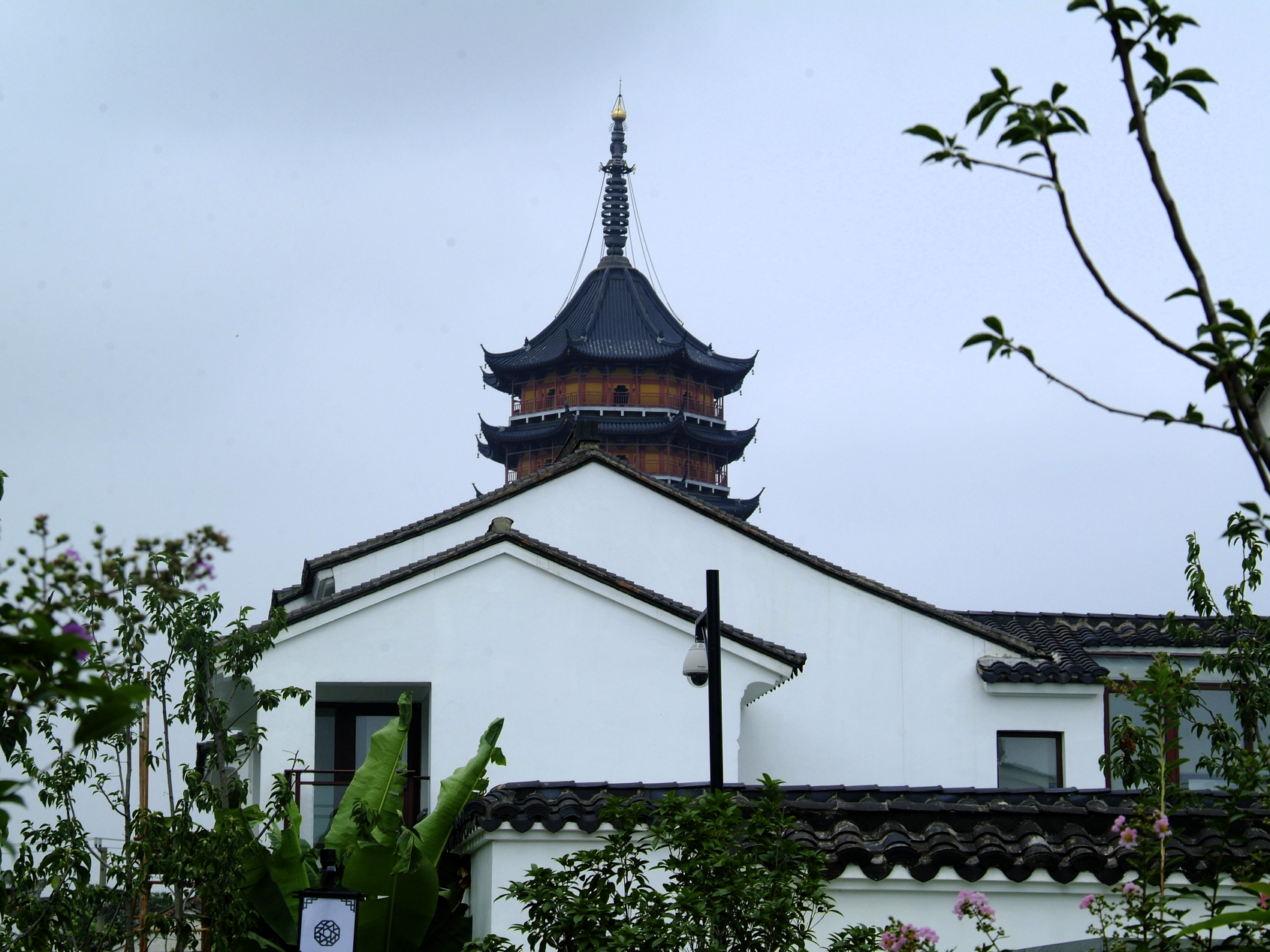 庭园